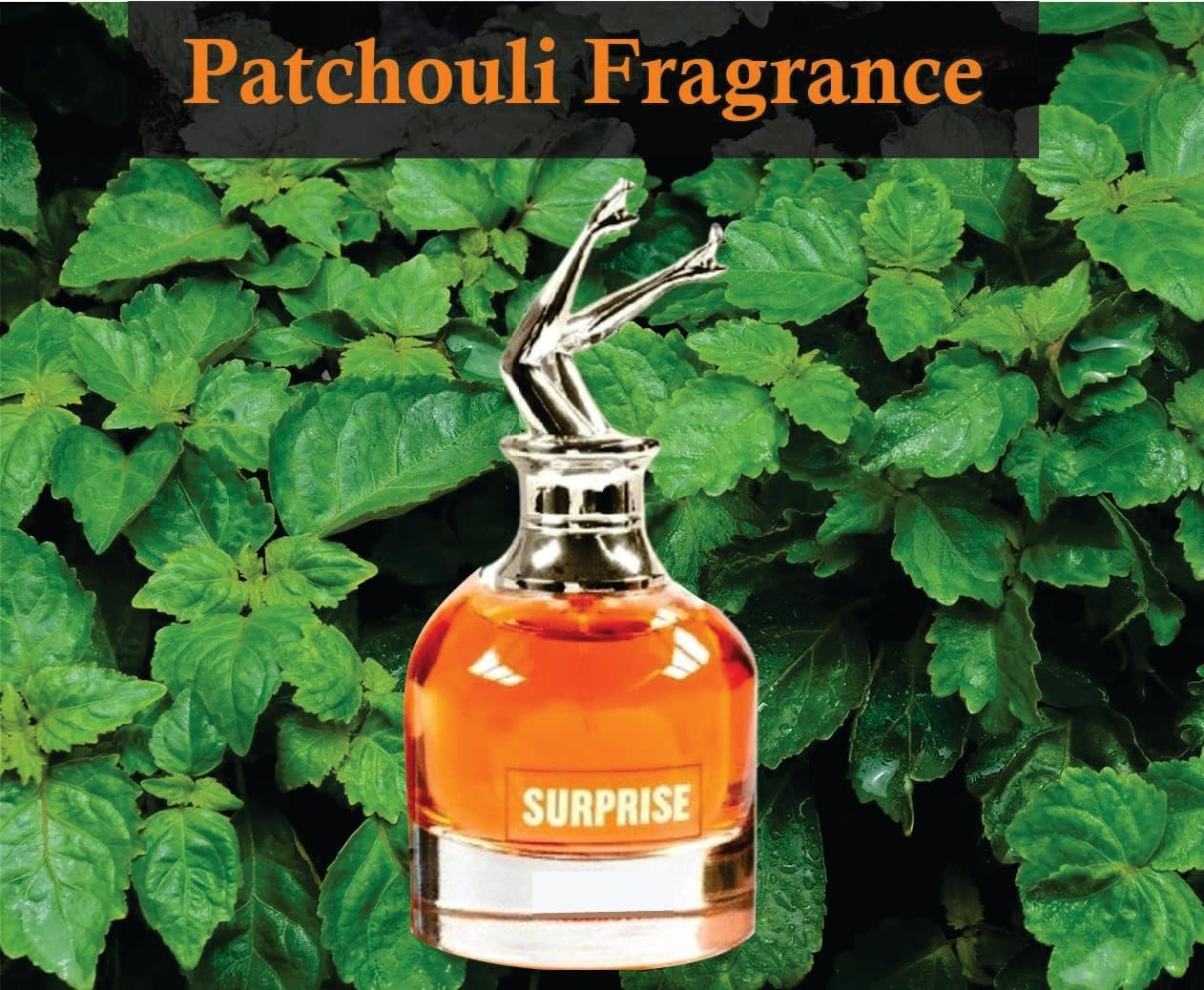 Surprise Perfume | Vanilla, Rose and White Musk Fragrance | Surprise Women Eau De Parfum Spray 90ml Parfum By Sapphire’s Choice
